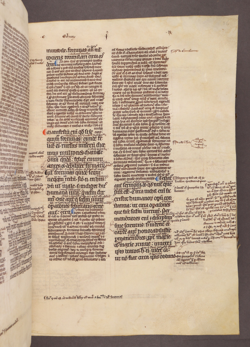 Folio 36 recto